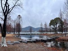 -西溪国家湿地公园