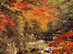 -本溪老边沟风景区