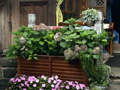 -龙姐私房菜(和顺古镇店)