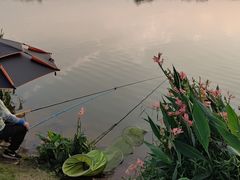 -鹤之洲湿地公园