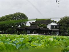 -高子水居