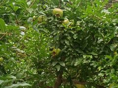 -人民广场-地下停车场