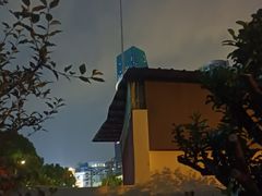 -上海龙之梦万丽酒店