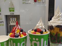-Salud撒露欧洲冻酸奶(蓝色港湾店)