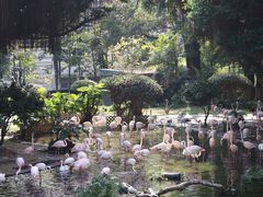 -九龙公园