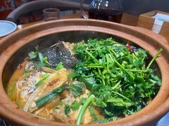 -九道菜有鸡鱼头(石鼓路店)
