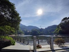 -广州市帽峰山景区
