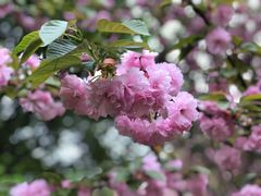 -苏州河梦清园环保主题公园