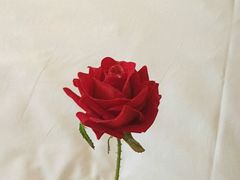 -宜必思酒店(扬州文昌阁店)