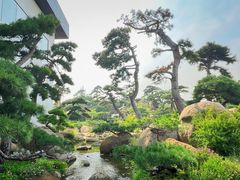 -罗红摄影艺术馆