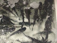 -千岛湖鱼味馆(十字街总店)