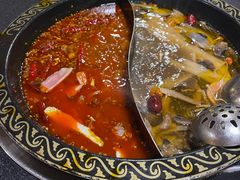 -小志家.野生菌鲜切牦牛肉牛杂火锅