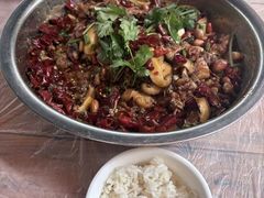 -食神又名厕所兔