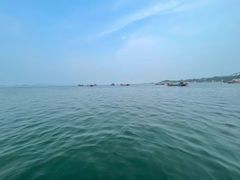 -星海湾跨海大桥