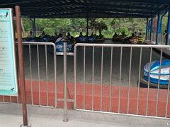 -南戴河国际娱乐中心