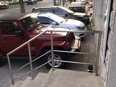-北京观赏动物医院·24小时大型综合·猫专科·异宠专科