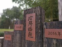 -田园东方蜜桃村的田野营地