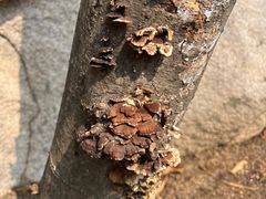 -崂山巨峰游览区