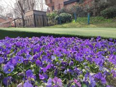 -西安电影制片厂