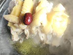 清远鸡-佬肥猫(国华广场店)