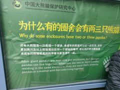 -都江堰中华大熊猫苑