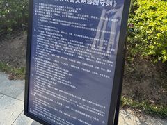 -王借岗森林公园
