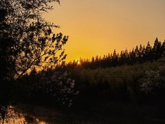 -黄海国家森林公园