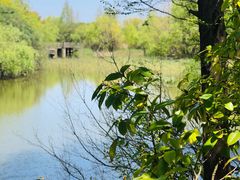 -吴淞炮台湾湿地森林公园烧烤区