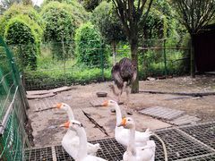 -洪湖家庭农场·团建·露营·会议