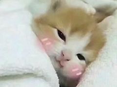 -吉野家(红博中央公园店)