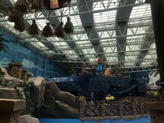 -青岛东方影都融创水世界