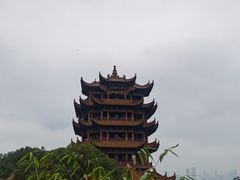 -黄鹤楼公园(黄鹤楼)