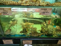 -北京深圳大厦