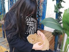 -Sirena海妖日咖夜酒