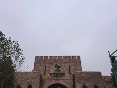 -苏州太湖迷笛