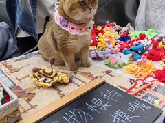 -丽达购物中心(崂山店)