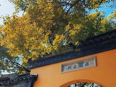 -西园戒幢律寺