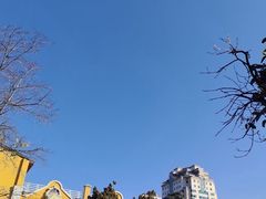 -昆明动物园
