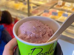 -Dooley's Premium Ice Cream