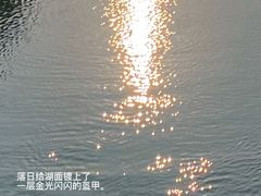-海珠湖公园