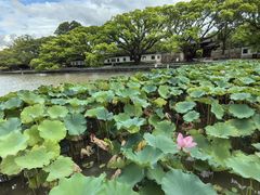 -江心屿景区