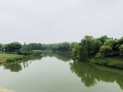 -尚贤河湿地