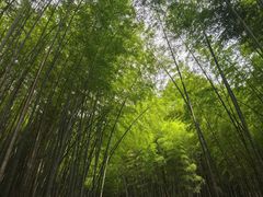 -敬亭山风景名胜区