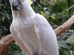 -南宫五洲植物乐园