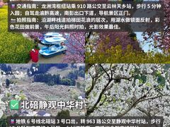 -南山植物园