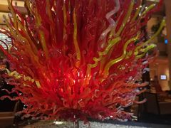 -威斯汀舞台餐厅