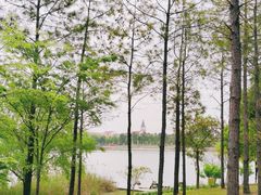-美兰湖景区