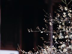 -钱王祠