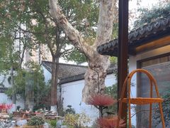 -鲤院·新中式美学·庭院餐厅(夫子庙店)