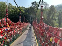 -西双版纳原始森林公园